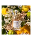 Thumbnail 2 de Guerlain Aqua Allegoria Bergamota Calabria 75 ml Eau de Toilette