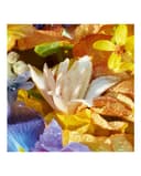 Thumbnail 3 de Guerlain Aqua Allegoria Florabloom 125 ml — eau de toilette