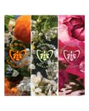 Thumbnail 4 de Guerlain Aqua Allegoria Forte Rosa Palissandro 125 ml Eau de Parfum