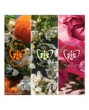 Thumbnail 4 de Guerlain Aqua Allegoria Mandarine Basilic Forte 75 ml