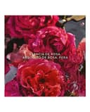 Thumbnail 3 de Guerlain Eau de Parfum Aqua Allegoria Rosa Rossa Forte recargable 200 ml