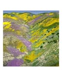 Thumbnail 3 de Guerlain Eau de Toilette Aqua Allegoria Florabloom 200 ml