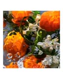 Thumbnail 3 de Guerlain Eau de Toilette Aqua Allegoria Mandarine Basilic 75 ml