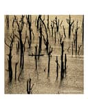 Thumbnail 4 de Guerlain Recarga Eau de Parfum Aqua Allegoria Forte Nerolia Vetiver 200 ml