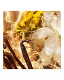 Thumbnail 2 de Guerlain Recarga Eau de Parfum Aqua Allegoria Forte Bosca Vanilla 200 ml