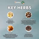 Thumbnail 5 de Himalaya Herbals Koflet-H Lozenges 🍊 con Miel y Jengibre – 12 unidades