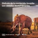 Thumbnail 6 de Hisense 75U8KQ Mini-LED Smart TV 75" 🎥 Quantum Dot, Dolby Atmos