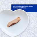 Thumbnail 3 de INABA Fillet Gatos Filete de atún en caldo 180 g 🐱