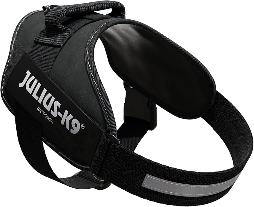 Imagen de JULIUS-K9 16IDC Power Harness 💪 Reflexión y Calidad en OfertitasTOP