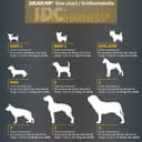 Thumbnail 1 de JULIUS-K9 16IDC Power Harness 💪 Reflexión y Calidad