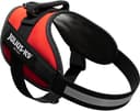 Thumbnail 1 de Julius-K9 IDC Power Arnés M rojo 🐕
