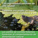 Thumbnail 4 de King British Alimento completo para tortugas 200 g 🐢