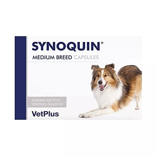 Imagen de Laboratorios Vetplus Synoquin EFA Razas Medianas 120 cápsulas 🐶 en OfertitasTOP