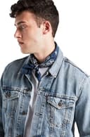 Thumbnail 7 de Levi's Paisley Bandana para Hombre, Chal Azul 🌊