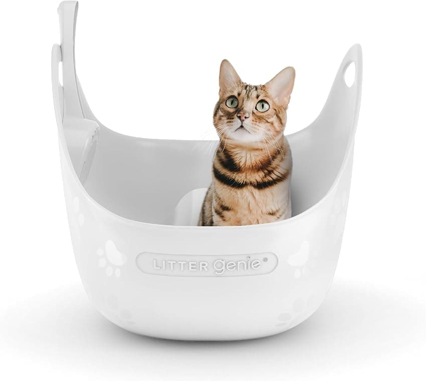 Litter Genie Caja de Arena para Gatos Blanco Pequeño 🐱