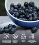 Thumbnail 4 de LOOV Polvo de Arándano Silvestre Orgánico 🍇 100g