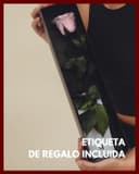 Thumbnail 4 de Mia Milano Infinity Rose Rosa en Caja de Regalo 🌹