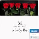 Thumbnail principal de Mia Milano Rosa Preservada en Caja 🎁 Regalo San Valentín