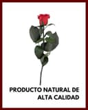 Thumbnail 1 de Mia Milano Rosa Preservada en Caja 🎁 Regalo San Valentín