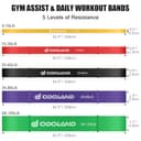 Thumbnail 2 de Odoland Fitness Bandas Elásticas de Resistencia 💪