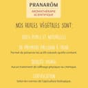 Thumbnail 5 de PRANAROM Vainilla Bio aceite esencial 5 ml 🌿