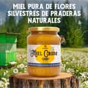 Thumbnail 2 de QHoney Miel Cruda 1kg Premio de Oro Paris 2025🍯