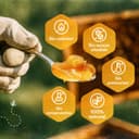 Thumbnail 4 de QHoney Miel Cruda 1kg Premio de Oro Paris 2025🍯