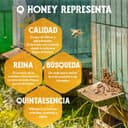 Thumbnail 6 de QHoney Miel Cruda 1kg Premio de Oro Paris 2025🍯