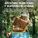 Thumbnail 7 de QHoney Miel Cruda 1kg Premio de Oro Paris 2025🍯