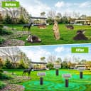 Thumbnail 4 de Repelente ultrasónico Raccoon para ratones y roedores 🚫