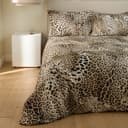 Thumbnail principal de Roberto Cavalli - Funda Nórdica Algodón Bravo 🛏️