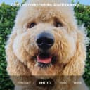 Thumbnail 4 de Samsung Galaxy S23 Plus 5G 8 GB + 256 GB reacondicionado móvil libre 📱