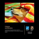 Thumbnail 5 de Samsung TQ65S93FATXXC TV OLED 65' 4K