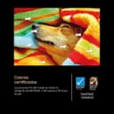 Thumbnail 5 de Samsung TV OLED 77" TQ77S93FAEXXC 4K Vision AI Pantone Reacondicionado Grado A