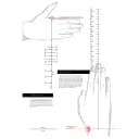 Thumbnail 3 de Scott GRAVITY LF Guante ciclismo unisex