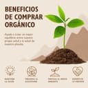 Thumbnail 6 de Sevenhills Wholefoods Proteína de Cáñamo Orgánica 3kg 🌱