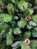 Thumbnail 2 de Solagua Árbol 180cm árbol Navidad 690Tips 🎄