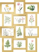 Thumbnail principal de SONGMICS Collage de Marcos para Fotos, Pared, Dorado ✨