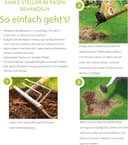 Thumbnail 3 de Substral Magic Lawn Patch 3,6 kg: reparación de césped