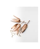 Thumbnail 3 de Tiffany & Co Rose Gold Eau de Parfum 50 ml