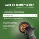 Thumbnail 4 de Ultima Comida húmeda gatos 4x85 g, pack 12 🐱