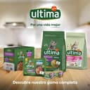Thumbnail 6 de Ultima Comida húmeda gatos 4x85 g, pack 12 🐱