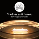 Thumbnail 2 de WoodWick Ellipse - Vela aromática hasta 50 horas 🕯️