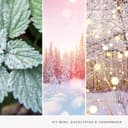 Thumbnail 2 de Yankee Candle Snow Globe Wonderland tarro grande 150 h 🕯️