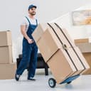 Thumbnail 5 de 10 Pack Ratchet Tie Down Strap 6m, 800 kg cargo straps 🚚