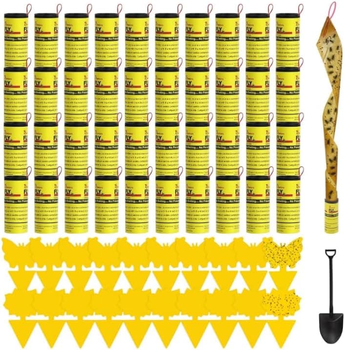 60 Pcs Fruit fly traps Sticky insect strips for home 🪰