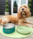 Thumbnail 3 de 900ml Stainless Steel Double Walled Dog Bowl 🐶