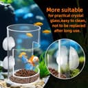 Thumbnail 4 de Acrylic Automatic Feeding Ring for Fish Tank 🎣