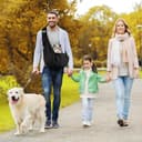 Thumbnail 7 de Adiwo Puppy Carrier reversible dog sling 🐶