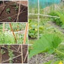 Thumbnail 5 de ANSIO Natural Jute Twine 101 m – 2 mm Garden Twine 🧵